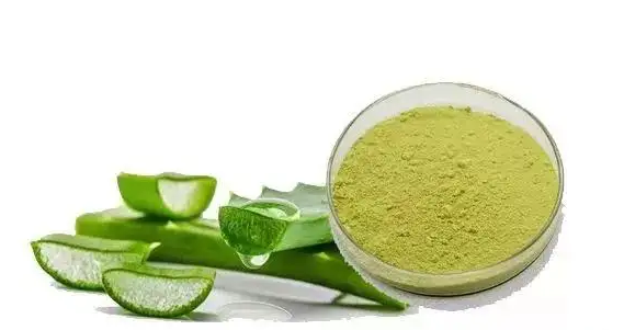 探索皮膚衛(wèi)士蘆薈苦素，揭開天然護(hù)膚新革命