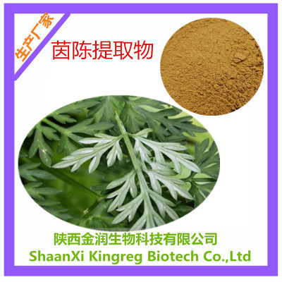 植物提取物-廠家直銷 茵陳提取物 白蒿/絨蒿/茵陳內酯 10:1 比例提取現貨包.