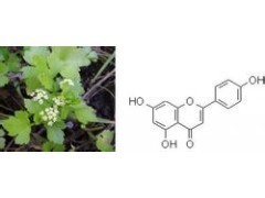 芹菜素 芹黃素_提取物_深加工類_供應_食品伙伴網